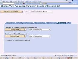 The Valuation Variant Determines The Prices That The Sap System Selects To Valuate The Quantity Structure Of A Material Cost Estimate Or O Sap Cost How To Plan