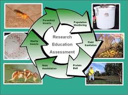 Cultural methods biopesticides and botanicals behavioural methods biological methods. Example Of Integrated Pest Management Diy Pest Control Pest Control Pest Control Mice