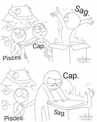 The Christmas Story Of 12 Zodiac Signs Sagittarius Capricornio Pisces Zodiac Signs Sagittarius Zodiac Signs Funny Zodiac Star Signs