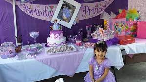 Sofia The First Birthday Party Theme For My 3 Year Old 3 Princess Birthday Birthday First Birthday Party Themes