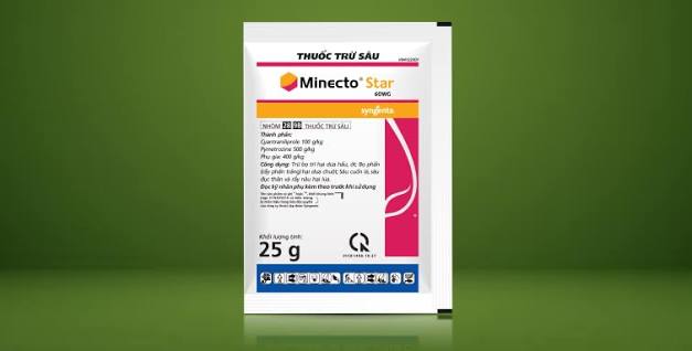 Minecto® Star 60WG
