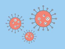 Nach den sommerferien auch in schulen überall dort, wo der mindestabstand zu anderen. Axel Bruns Schule Bbs Ii Celle So Ist Niedersachsen In Das Neue Schuljahr Gestartet