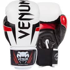 Résultat de recherche d'images pour "gant de boxe"