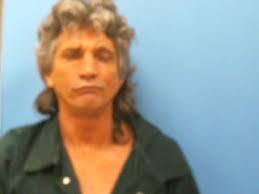 May 2017 Arrests by FCSO Deputies and Investigators (06/06/2017)