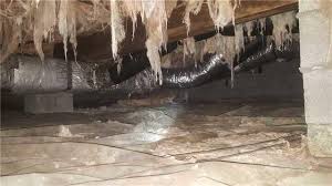 Looking for crawl space remediation? Carolina Energy Conservation Crawl Space Insulation Photo Album 2400 Sq Ft Moisture Barrier And Mold Treatment In Ocean Isle Beach Nc