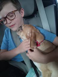 Introducing Blossom, the new pug companion for a sick granddaughter