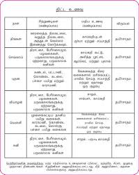 51 prototypical 1 year baby food chart in tamil