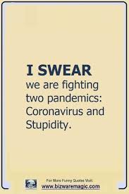 Pin On Corona Virus Covid 19 Prepping