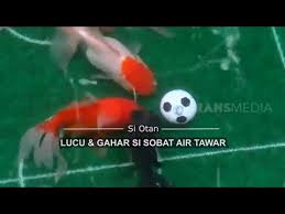 It was junk, sent by an unknown third party who is not using feedblitz to send their emails or manage their rss feeds. Download Si Otan Video Lucu 3gp Mp4 Codedwap