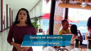 López gatell vacacionó en playas de oaxaca; Presume Presidenta Municipal De Pochutla Que Lopez Gatell Vacaciona En Playas De Zipolite Youtube