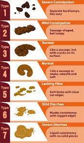 Image result for blood in stool human poop