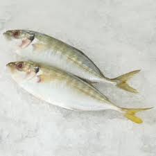 Maybe you would like to learn more about one of these? Panduan Mengenali Ikan Yang Selalu Dijual Di Pasar Bahagian 1 Iluminasi
