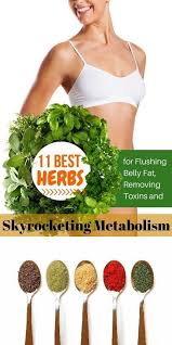 Pin On Natural Remedies