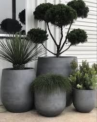 Pin On Plant Ideas I Like