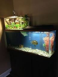 Pin On Aquarium Desing Ideas