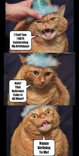 Dozens Of Hilarious Birthday Memes With Animals Happy Birthday Funny Cats Cat Birthday Memes Happy Birthday Animals