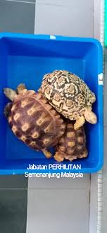 Pengkreditan tidak diperlukan, tetapi menautkan kembali sangat dihargai dan memungkinkan penulis gambar mendapatkan paparan. Osszege Filmek Kiirtasa Kura Kes Laura Edwards Com