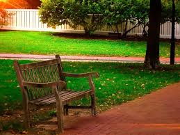 Pixabay De Ucretsiz Goruntuler Bank Ahsap Park Bank Park Acik Banklar Cim Agac