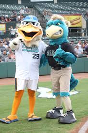 Pierre was giving children nightmares after going to a pelicans game and his death stare can creep anybody out. Pin On Chauncey