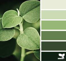 Pin By Grecea Jora On Color Ideas Green Palette Design Seeds Seeds Color
