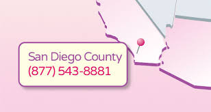 Local Lice Removal San Diego The Hair Angels The Hair Angels