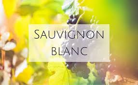 How To Pronounce French Wines So You Sound Like An Expert Audio Many of the world's most celebrated wines have been made from this grape. how to pronounce french wines so you