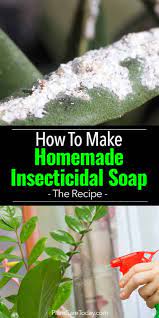 Homemade Insecticidal Soap Sprays Use A Soap Solution To Kill Plant Bugs The Oil Soap Insecticide Works As Insecticide For Plants Insecticidal Soap Plant Bugs
