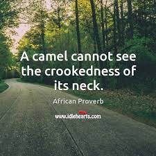 Crater's first reaction to shiftlet when she sees him from a distance as the story begins? A Camel Cannot See The Crookedness Of Its Neck Idlehearts