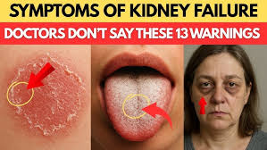 Using human genetics & synthetic biology to engineer erythropoiesis — Dr.  Cromer