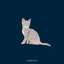Gratis unduh 50 gambar kucing dan tahapan pembuatan menggunakan photoshop. Sifat Kucing Menurut Warna Bulunya Josi Kie