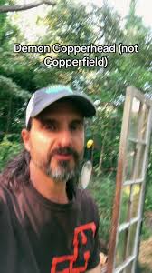 What Does Demon Copperhead Look Like