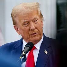 Catherine Brock's Profile