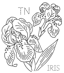 Tennessee Iris Flickr Photo Sharing Embroidery Patterns Hand Embroidery Embroidery Designs