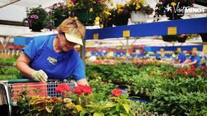 Maybe you would like to learn more about one of these? Lowe S Garden Center Floral Visit Minot