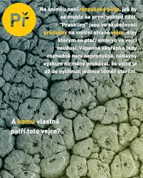 Image result for pokoutnik st job 