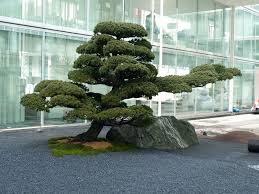 Notter Japan Garten Pius Notter Gartengestaltung Japanese Garden Small Japanese Garden Modern Japanese Garden