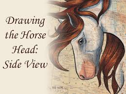 Since you've already drawn a horse head from three different angles, you probably already know what comes next. Drawing The Horse Head Side View By Lizstaley Clip Studio Tips