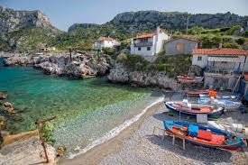 Το μεγαλύτερο πρόβλημα εντοπίζεται στο πευκί, είπε ο περιφερειάρχης στερεάς ελλάδας φάνης σπανός, αναφερόμενος στο πύρινο μέτωπο που μαίνεται στην εύβοια, σύμφωνα με τον οποίο λόγω περιορισμένη ορατότητας δεν μπορούν να επιχειρήσουν εναέρια μέσα. Kymh Eyboias Mia All Season Protash Apodrashs 2020 Traction Gr