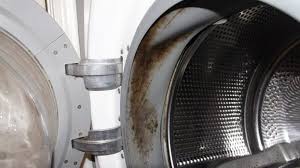 Moisissure Dans La Machine A Laver Comment Se Debarrasser Comment Nettoyer Comment Eliminer Les Champignons