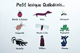 Petit Lexique Quebecois Des Animaux La Boite De Marie Pour C Tiguidou French Phrases Quebec French Quebec
