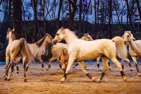 Watch Cavalia Odysseo Performers Flip Out And Up And