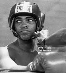 311 Jerry Clay Photos & High Res Pictures