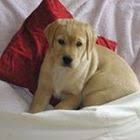 Pin Auf Ganzheitsmedizin