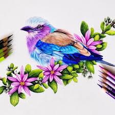 Realistic Animal Pencil Drawings Color Pencil Art Bird Drawings Colorful Drawings