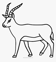 Download and print for free. Antelope Coloring Page Disegno Antilope Hd Png Download Transparent Png Image Pngitem