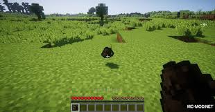 Open mac on the finder, press and hold alt and click to library on the peak of the menu bar. Useful Backpacks Mod 1 13 2 1 12 2 More Inventory For Minecraft