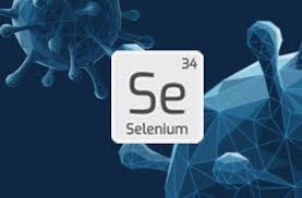It is a nonmetal (more rarely considered a metalloid) with properties that are intermediate between the elements above and below in the periodic table, sulfur and tellurium, and also has similarities to arsenic. Selenium And Immunity Food For Thought Adisseo