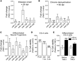 Ms is the most common demyelinating disease. Microrna 219 Reduces Viral Load And Pathologic Changes In Theiler S Virus Induced Demyelinating Disease Molecular Therapy