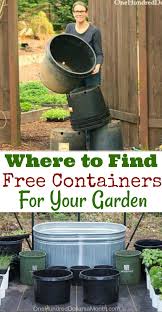 We did not find results for: How To Find Free Containers For Your Garden One Hundred Dollars A Month