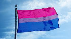 Download the free graphic resources in the form of png, eps. 22 Things You Should Read For Bisexual Awareness Week